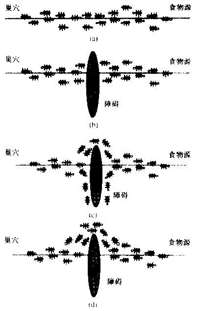 三维蚁群算法python 蚁群算法综述_数学建模