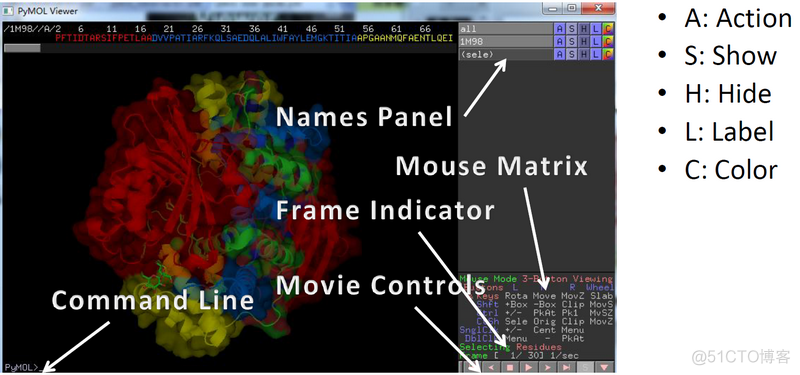 python 图像渲染 pymol作图渲染_pymol_02