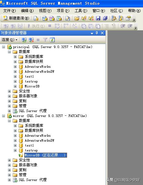 sql server 镜像 没有域 sqlserver镜像模式_服务器_10