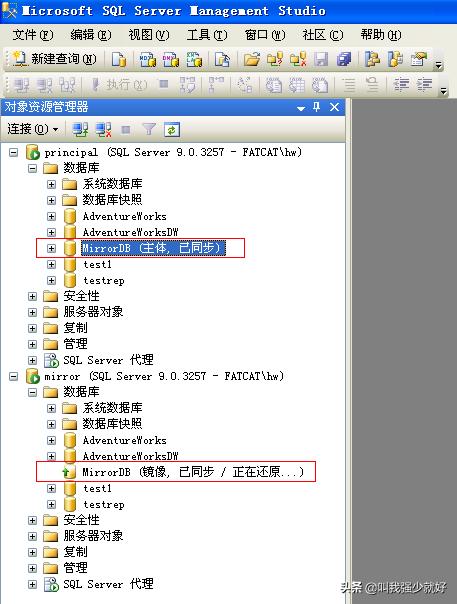 sql server 镜像 没有域 sqlserver镜像模式_服务器_27