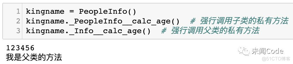 Python 类名做函数参数 python 类名调用成员函数_子类_07