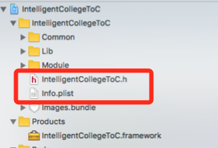 iOS Framework Defines Module Yes没有自动生成modules ios framework打包_swift_02