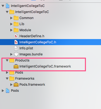 iOS Framework Defines Module Yes没有自动生成modules ios framework打包_第三方库_11