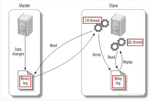 mysql 把某行的值复制另一行 mysql 复制一行数据_数据库_03