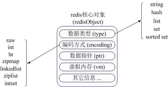 redis和netty依赖冲突 redis netty_sql