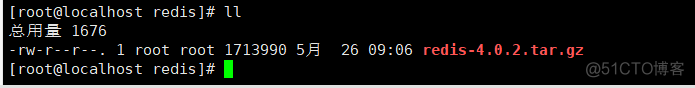 信创环境下部署redis redis环境搭建_redis