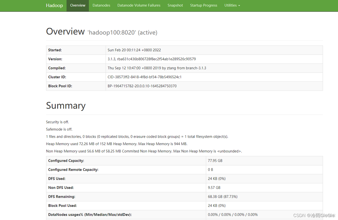 hadoop api 兼容 s3 hadoop3.1.3配置_hadoop api 兼容 s3_07