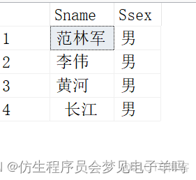 sql server 查询条件 in 一个标量值函数的返回值 sql语句或者条件查询格式_元组_10