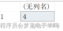 sql server 查询条件 in 一个标量值函数的返回值 sql语句或者条件查询格式_数据库_16