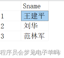 sql server 查询条件 in 一个标量值函数的返回值 sql语句或者条件查询格式_sql_34