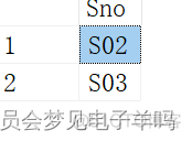 sql server 查询条件 in 一个标量值函数的返回值 sql语句或者条件查询格式_Sage_40