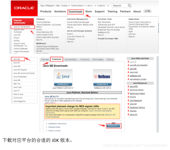 java继承两个 java继承了哪两大语言_Java_04