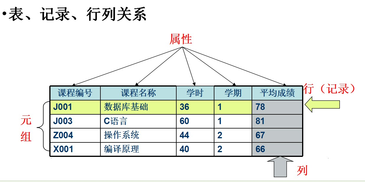 java实体字段是数据库关键字 数据库中实体是_元组