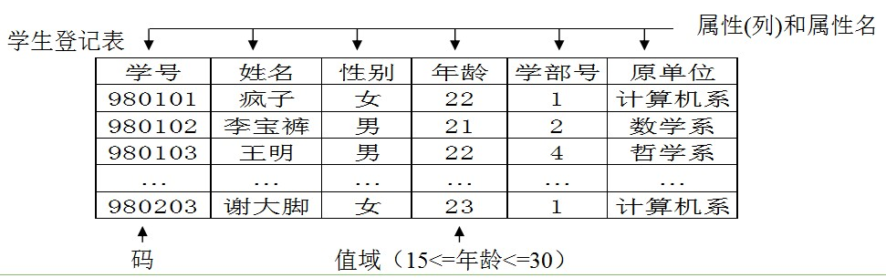 java实体字段是数据库关键字 数据库中实体是_实体型_03