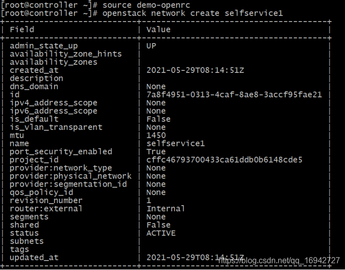 OpenStack spice 地址 openstack role add_云计算_07