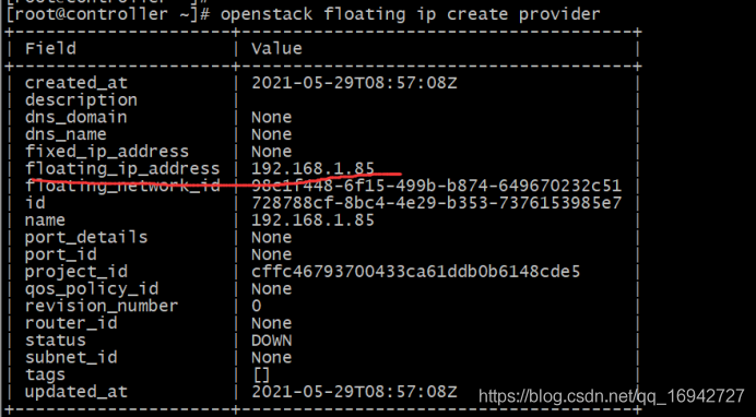 OpenStack spice 地址 openstack role add_OpenStack spice 地址_40