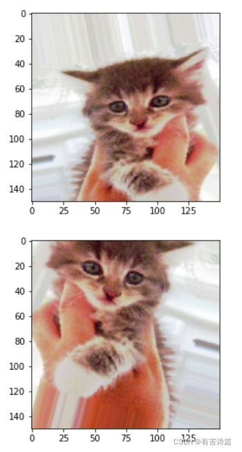 python深度学习猫狗分类 猫狗识别分类数据集_数据_05