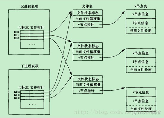 java 描述符范围 描述符表_子进程_05