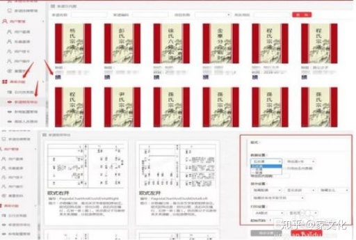 电子族谱 java 电子族谱软件_outlook域用户名怎么填_06