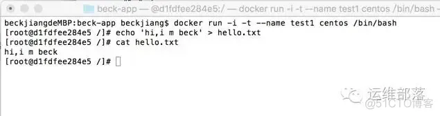 docker inspect读取的配置文件 docker inspect 内容详解_数据库_02