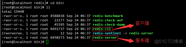 除了redis的nosql redis是nosql吗_Redis_09