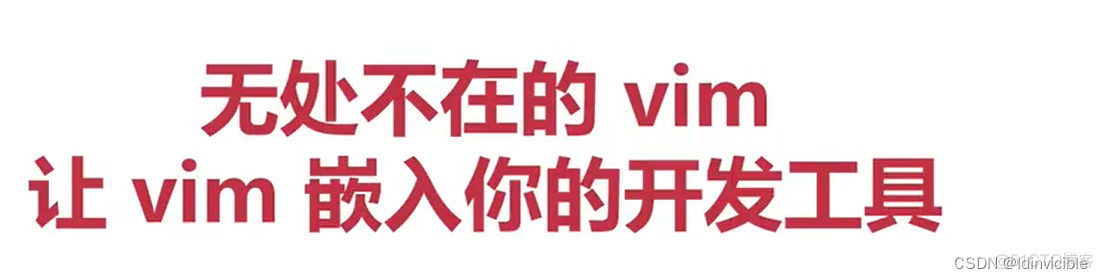 【VIM】VIM配合使用的工具_编辑器_07