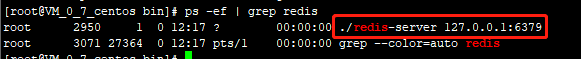 centos 6.5 安装redis centos下载redis_数据库_11