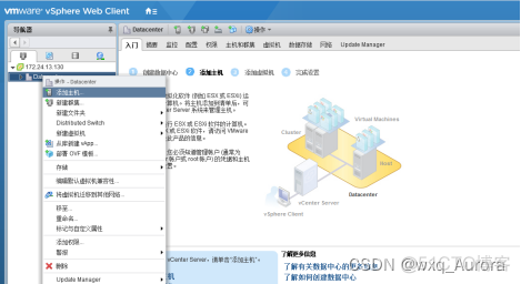 vcenter语言设置 vcenter6.7设置中文_IP_28