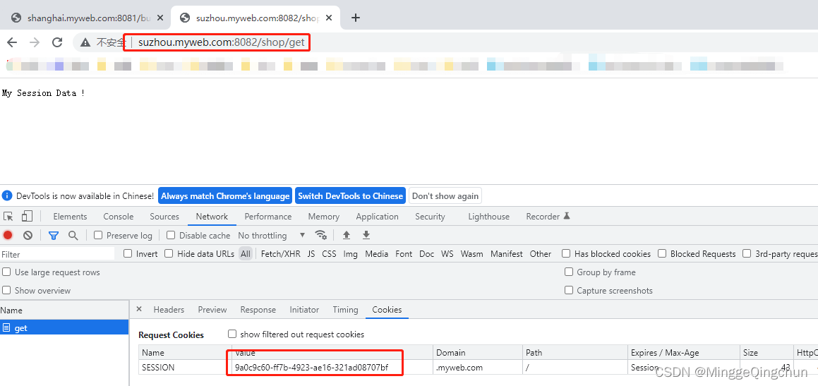 Java 多节点共享session java共享session数据库实现_cookie_07