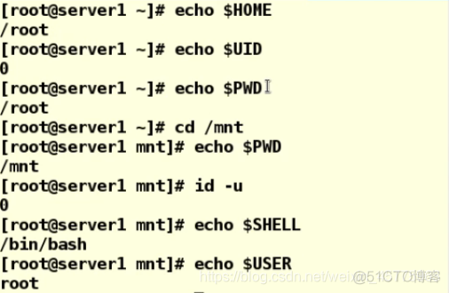 shell获取python环境变量 shell获取环境变量值_全局变量