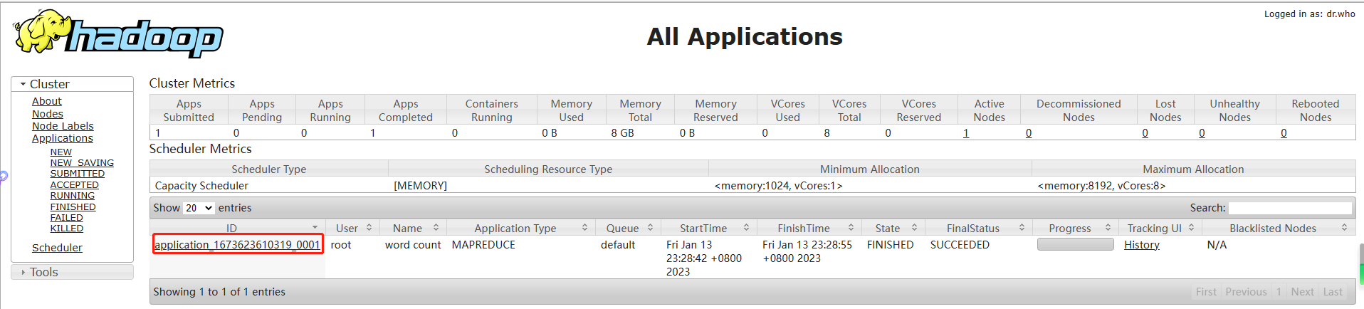 hadoop 大模型 hadoop demo_大数据_03