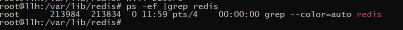 ubutu后台运行redis ubantu安装redis_redis_11