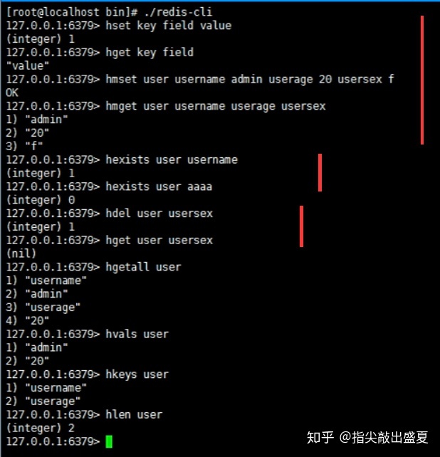 redis 删除set中最后一个元素 redis删除整个set_数据库_08