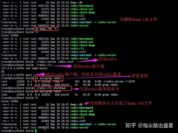 redis 删除set中最后一个元素 redis删除整个set_redis 删除set_12