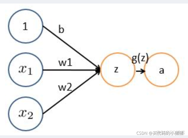 卷积神经网络 权重如何确定 卷积神经网络权重更新_卷积_02