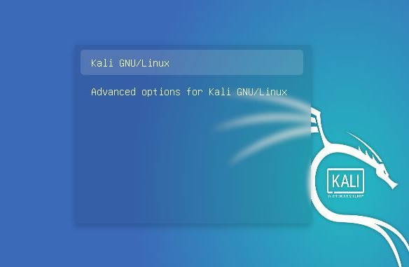 vm kali ios下载 kali vm版本_vm kali ios下载_38