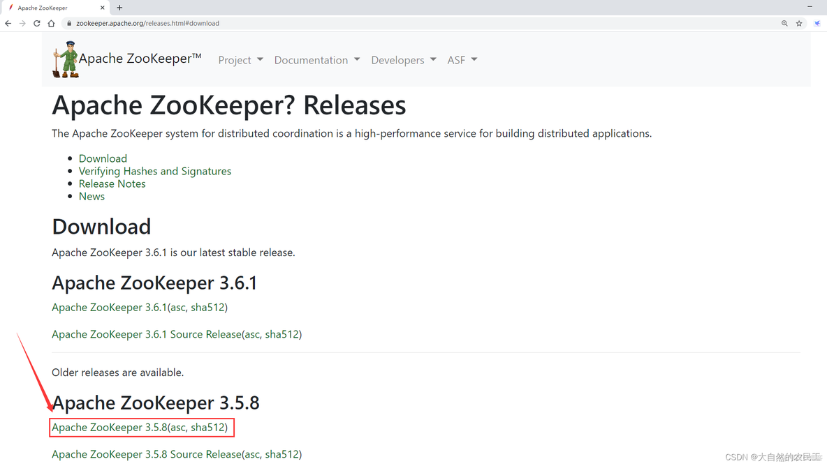 zookeeper docker 单点安装启动 zookeeper单机安装_hive_02