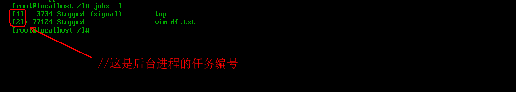 linux 查看静态库支持架构 linux查看静态进程数_用户名_05