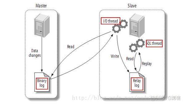 mysql 数据字典 sql mysql 数据字典查询权限命令_mysql 数据字典 sql