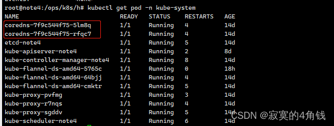 Kubernetes Ingress Controller域名不匹配 k8s域名绑定_docker_02