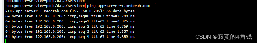 Kubernetes Ingress Controller域名不匹配 k8s域名绑定_DNS_05