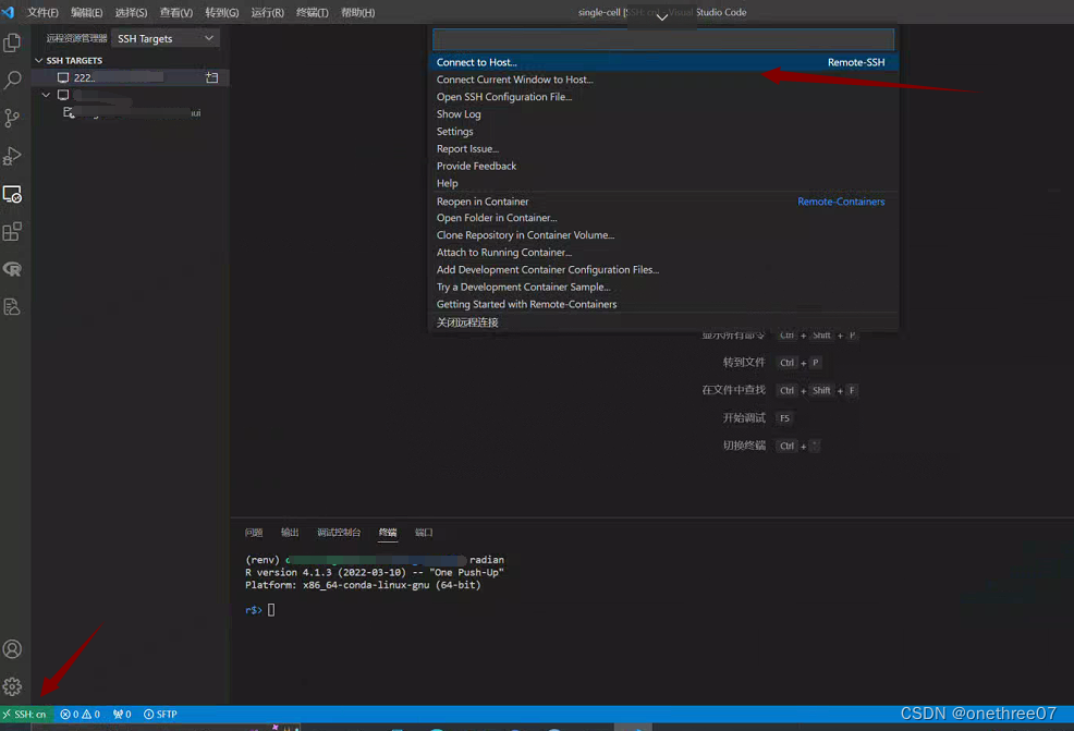 visual studio R语言 vs code怎么运行r语言_安装插件_12