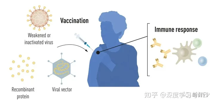 ChatGPT押中诺奖！准确预测mRNA疫苗，2023年诺贝尔生理学或医学奖众望所归_快速开发_11