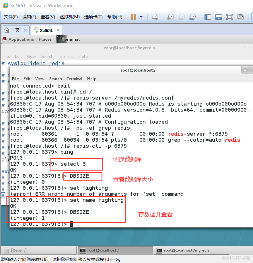 redis key 区分大小写 redis区分大小写吗_单线程_02