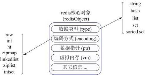 比redis还快的缓存 redis缓存和memcached_比redis还快的缓存