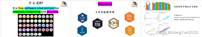 Bayesian Multivariate Joint Models R语言 r语言seir模型_元模型