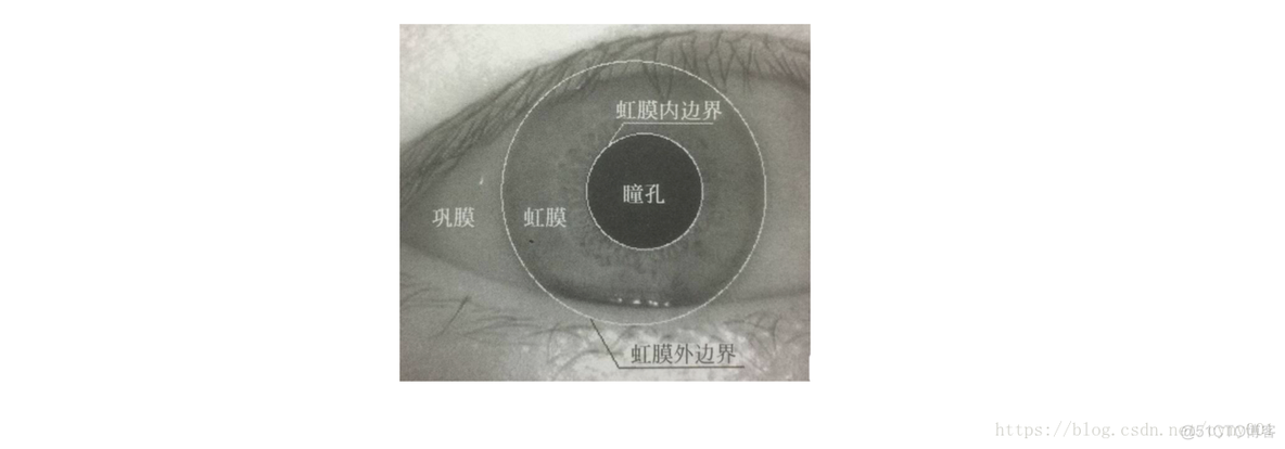 java实现虹膜识别 虹膜识别的特性是_java实现虹膜识别