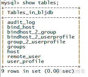 python 通过堡垒机 SSH python开发堡垒机_redis_39