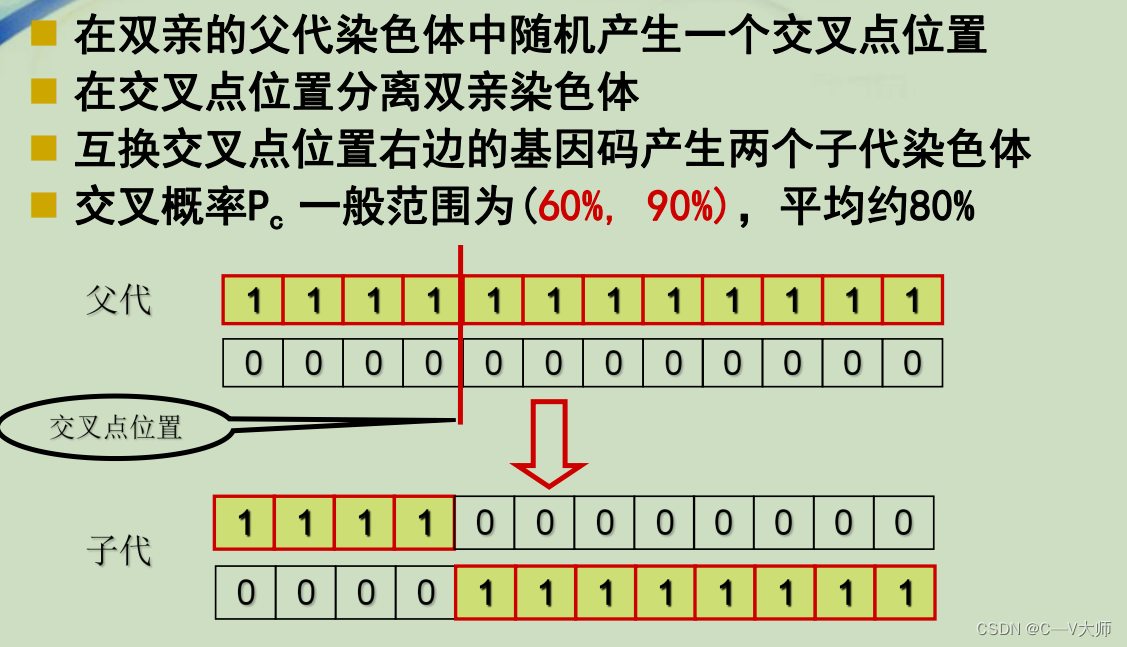 java 遗传算法排班 遗传算法编程_遗传算法_09